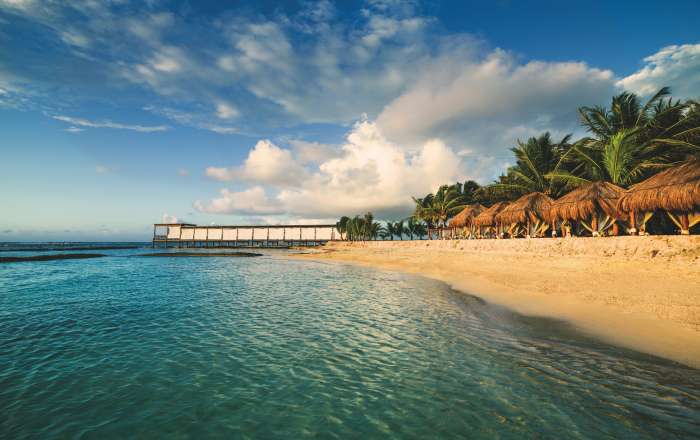 Stroll Along the Sweeping Beachfront