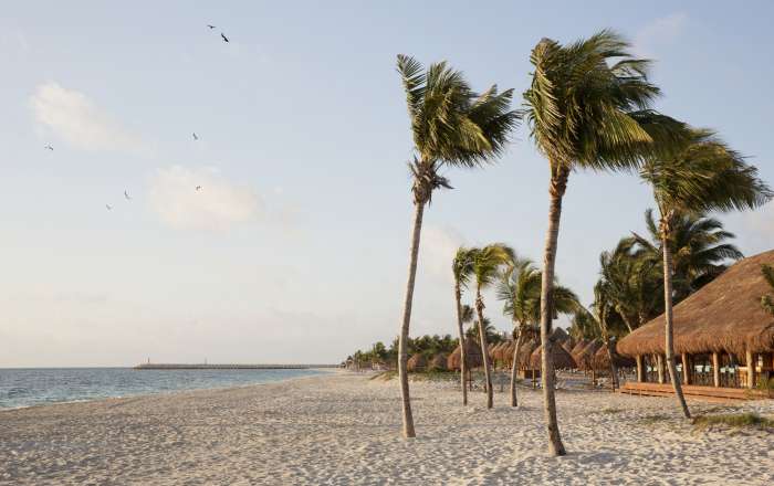 Beach at Finest Playa Mujeres