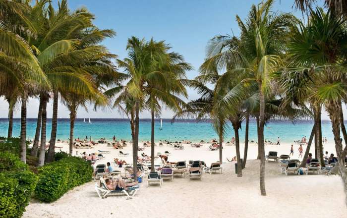 Thumbnail for image 3