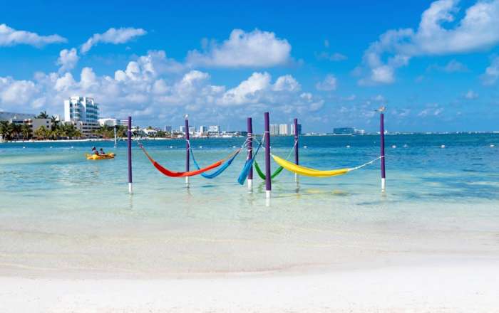 Thumbnail for image 2