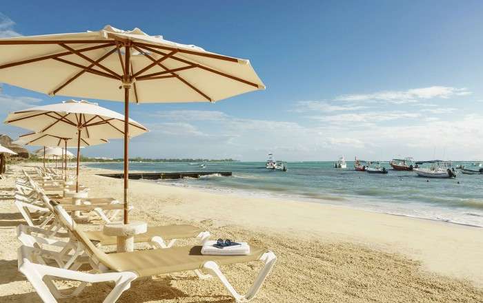 Beachfront Sunloungers