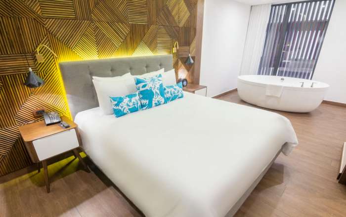 Bedroom with Bath Tub