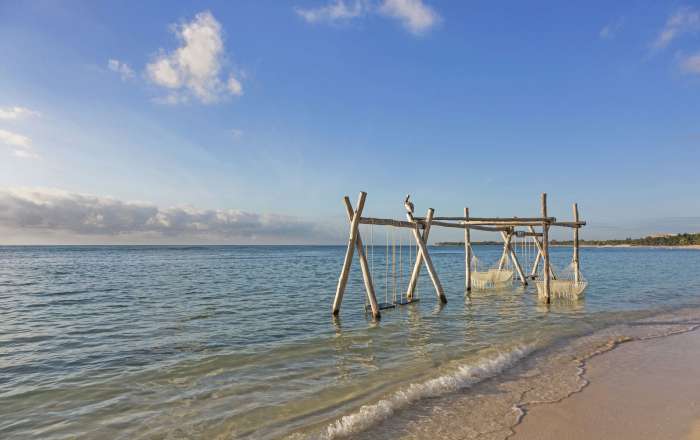 Sea Swings and Hammocks