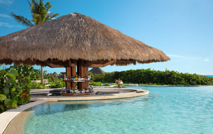 Thumbnail for image 1