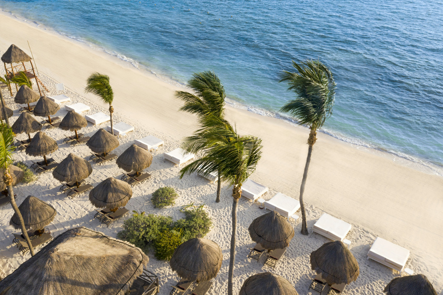 Excellence Coral Playa Mujeres