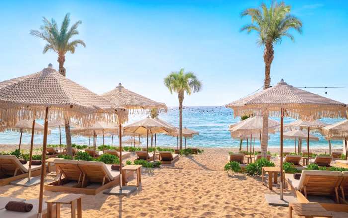 Thumbnail for image 2