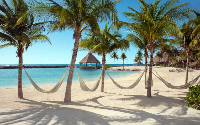 Welcome to the Island