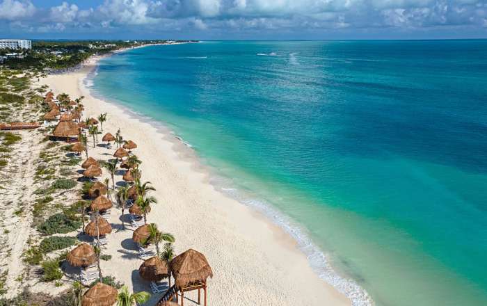 Thumbnail for image 4