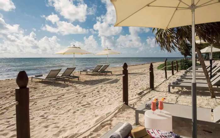 Thumbnail for image 3