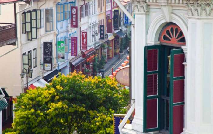 Thumbnail for image 4