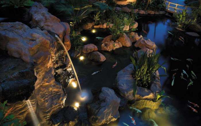 Thumbnail for image 3