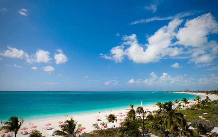 Thumbnail for image 1