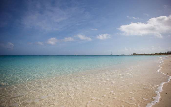 Thumbnail for image 3