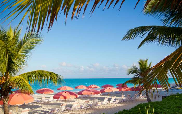 Thumbnail for image 4