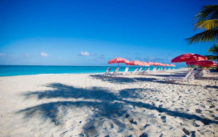 Thumbnail for image 2