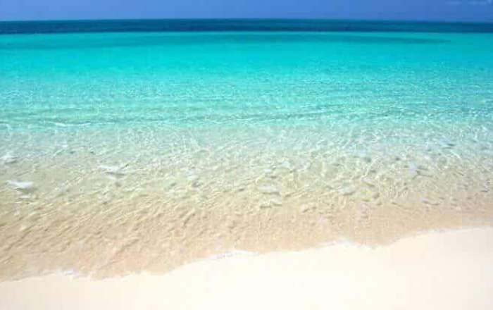 Thumbnail for image 4