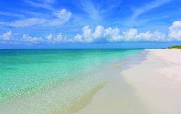 Thumbnail for image 1