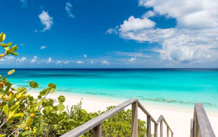 Thumbnail for image 1