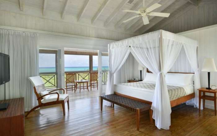 Thumbnail for image 4