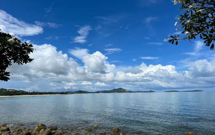 Stare Out to the Ocean