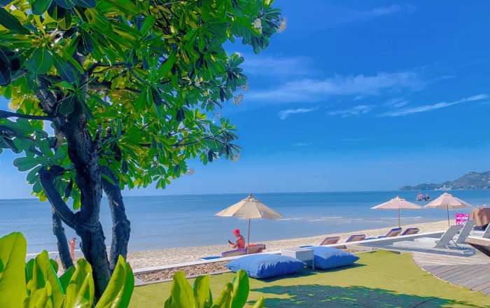 Thumbnail for image 4