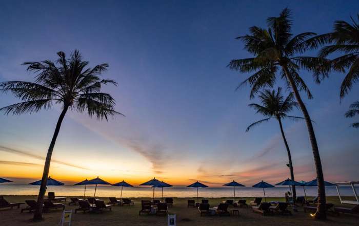 Aerial View of the Hotel