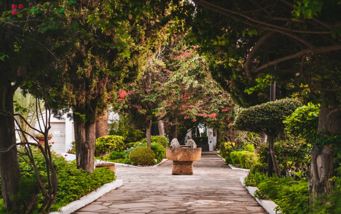 Thumbnail for image 2