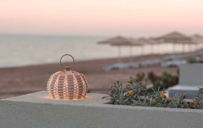 Thumbnail for image 2