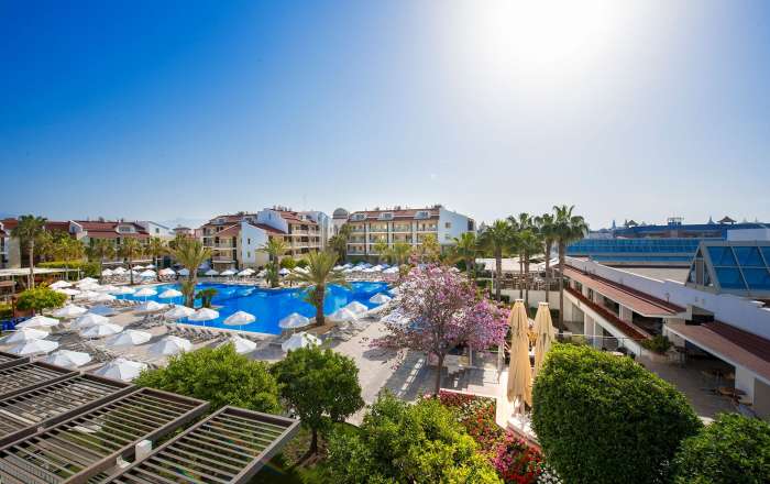 Thumbnail for image 1