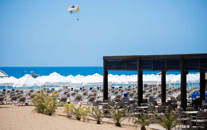 Thumbnail for image 4