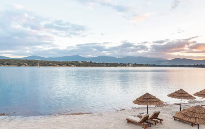 Thumbnail for image 2