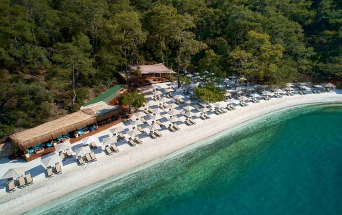 Aerial Shot of the Picture Perfect Beachfront