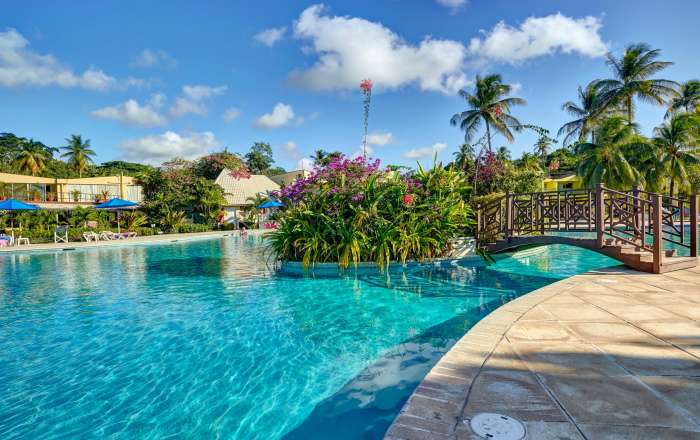 Elegant Pool & Bridge Area