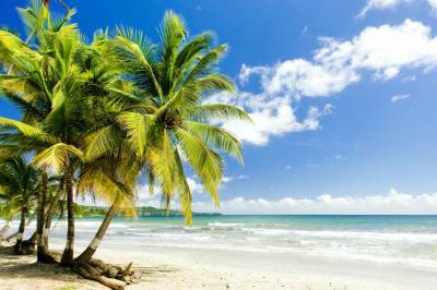 Signature image of Tropikist Beach Hotel & Resort.