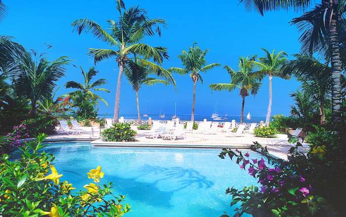 Gorgeous View of Pool and Beach