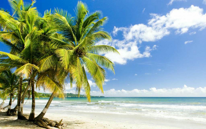 Main image for the offer: Tobago All-Inc Beach Escape w/Exclusive Ocean View Upgrade & Extras - Save 60%.