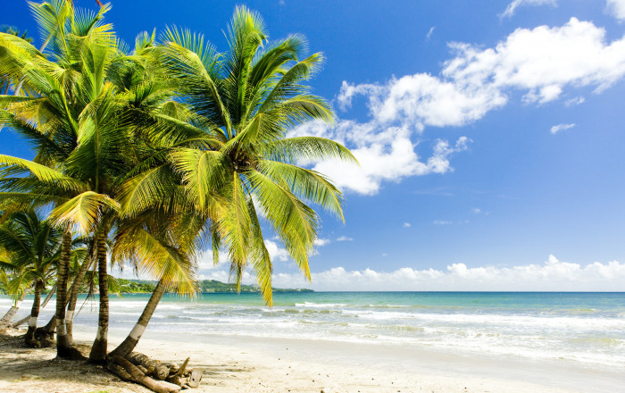 Main image for the offer: 4* All-Inclusive Tobago Escape: Enjoy Laid-Back Island Living in the Caribbean inc. Superior Garden View Room - Save 19%.