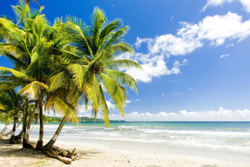 Main image of the hotel Coco Reef Resort & Spa.