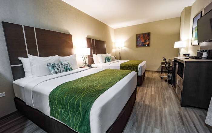 King or Twin Queen Beds