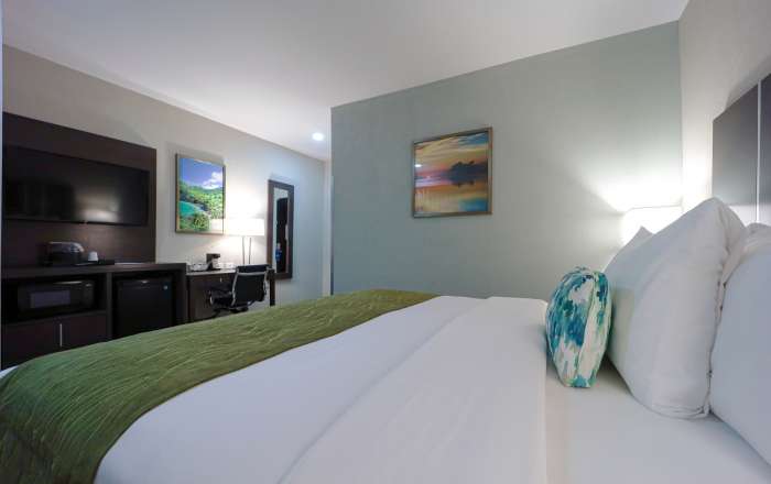 King Bed with Plush Furnishings