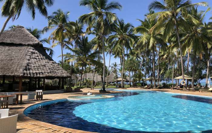 The Stunning Free Form Pool