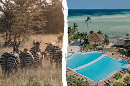 Main image of the hotel Tanzania Safari & Zanzibar Beach Stay.