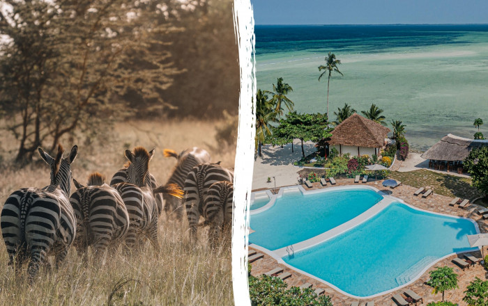 Main image for the offer: ✨ Tanzania Safari Experience + Zanzibar Beach = All in One Escape.
