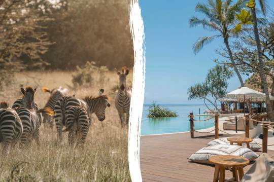 Main image of the hotel Tanzania Safari & Matemwe Attitude.