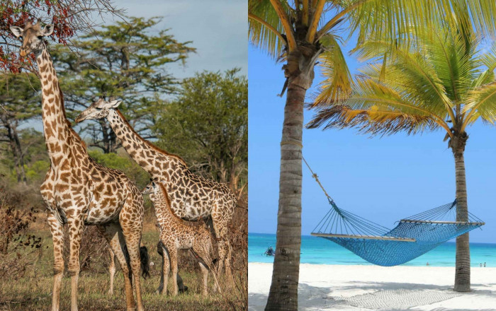 Main image for the offer: ❤️ Tanzania Safari Experience + 5* Zanzibar Beach Stay = All in One Escape.