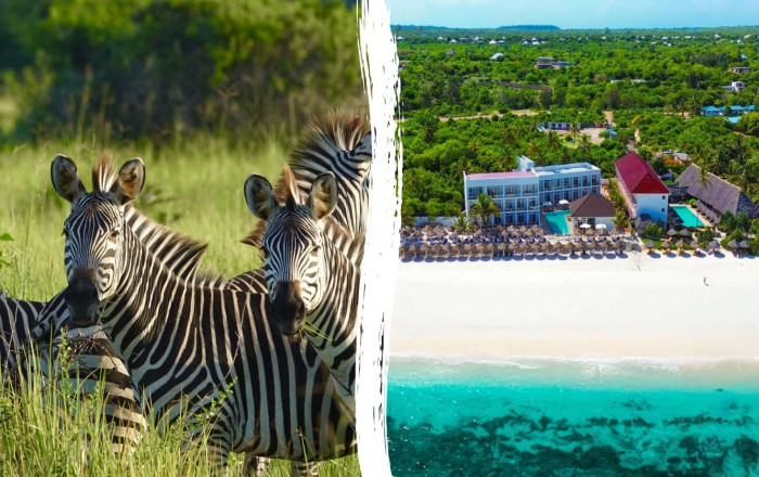 Main image for the offer: ✨ Bucket List Safari Adventure & Zanzibar Beach Escape.