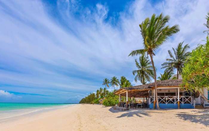 Thumbnail for image 4