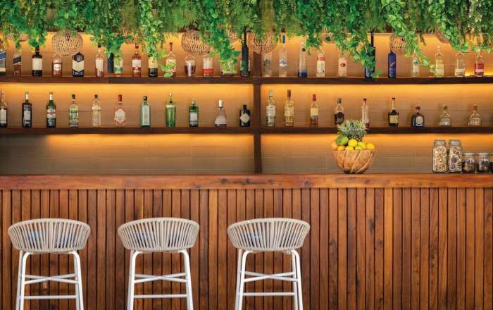 Thumbnail for image 3