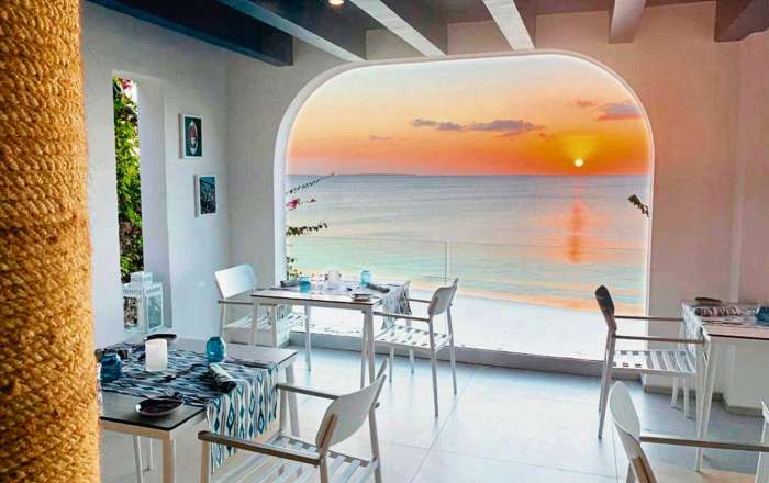 Thumbnail for image 3