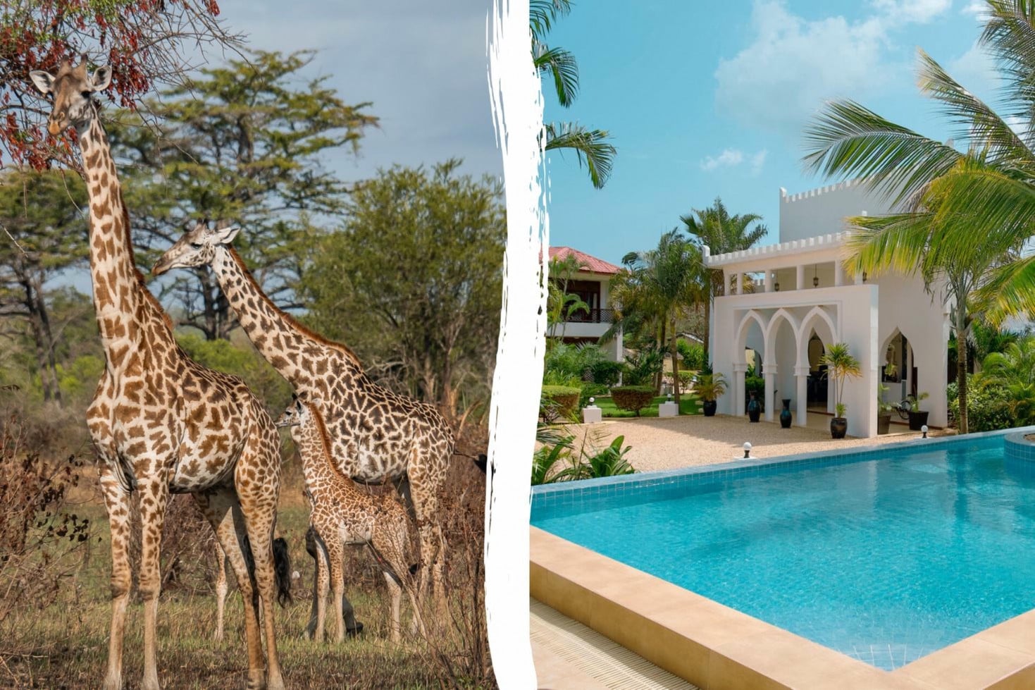 Tanzania Safari & AHG Hisia Nungwi Experience Hotel